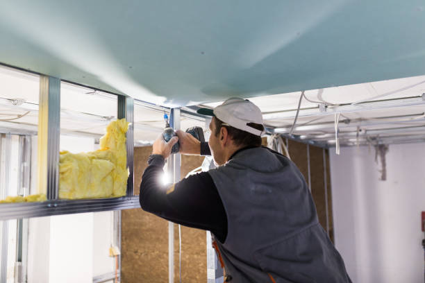 Best Specialized Insulation Services in Ashburn, VA