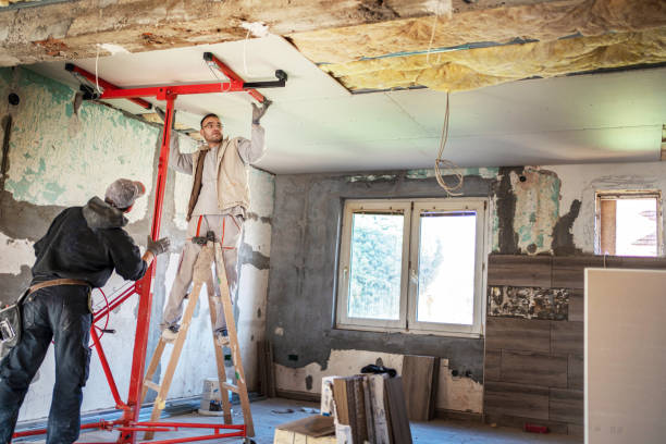Best Eco-Friendly Insulation in Ashburn, VA