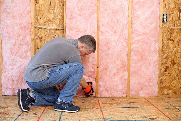 Best Cellulose Insulation in Ashburn, VA