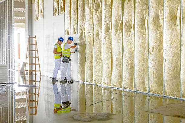 Best Commercial Insulation in Ashburn, VA